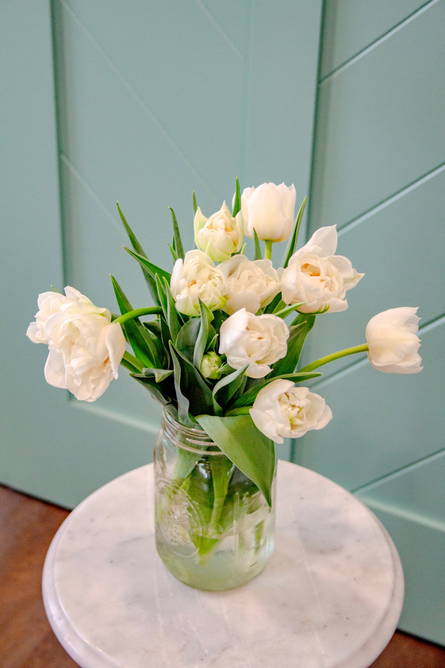 2024 Tulip Subscription - Home Delivery