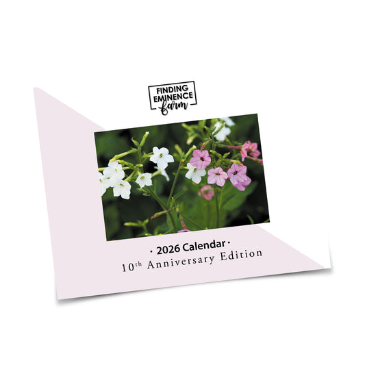 2026 Calendar - Free Shipping