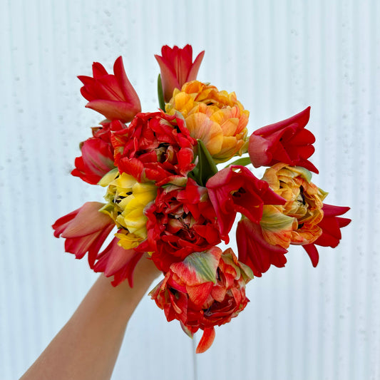 Sleeved Tulip Bouquet - Home Delivery