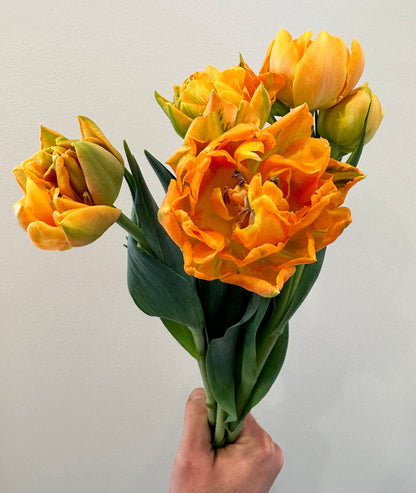 Sleeved Tulip Bouquet - Home Delivery