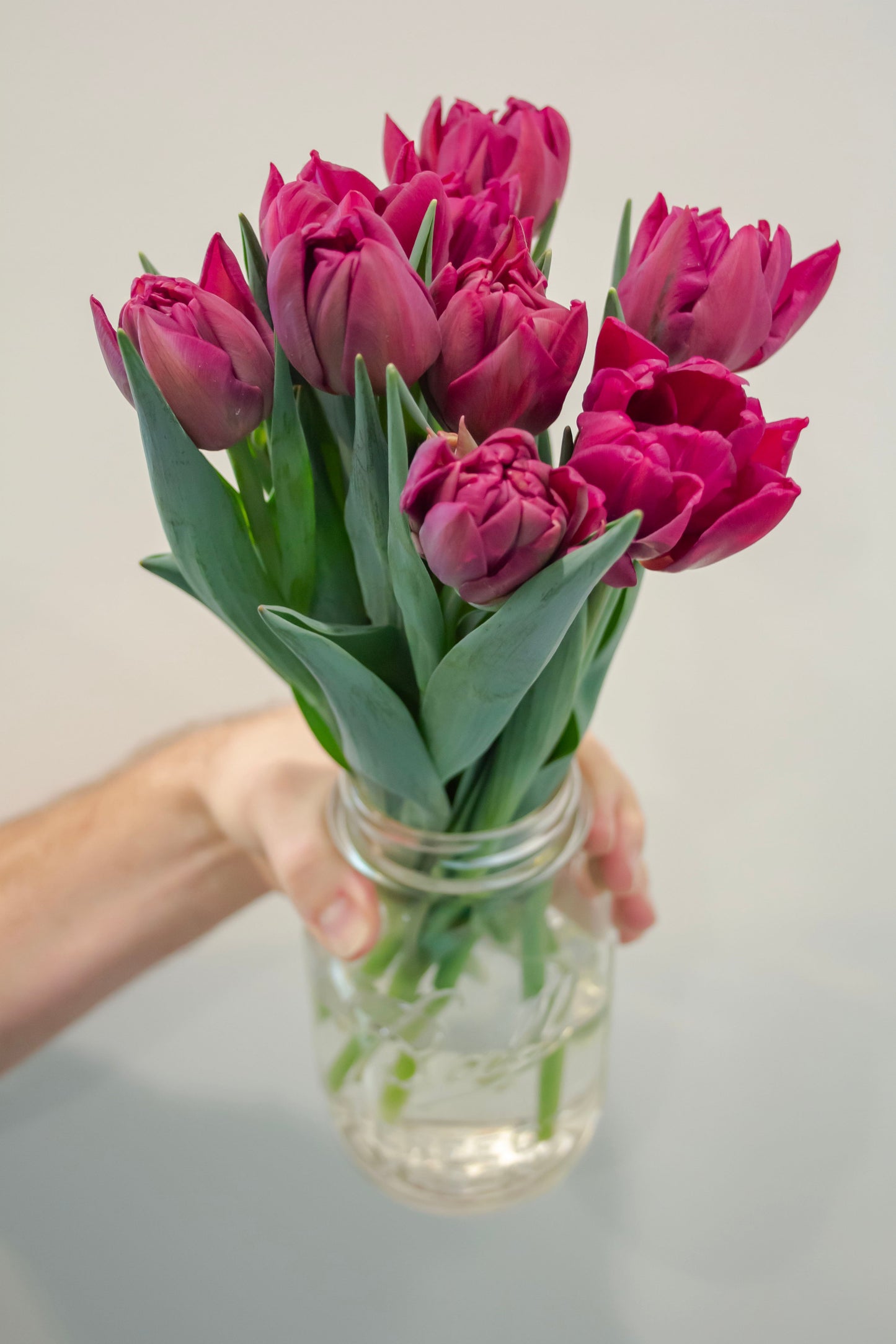 Sleeved Tulip Bouquet - Home Delivery