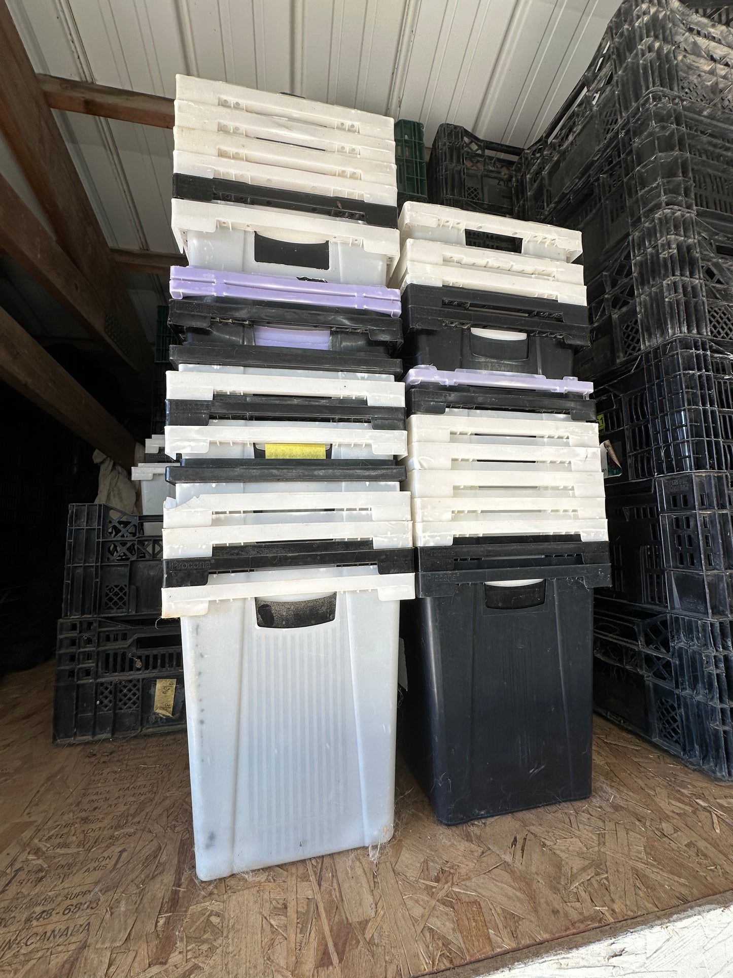 Used Procona Buckets -Valencia Container