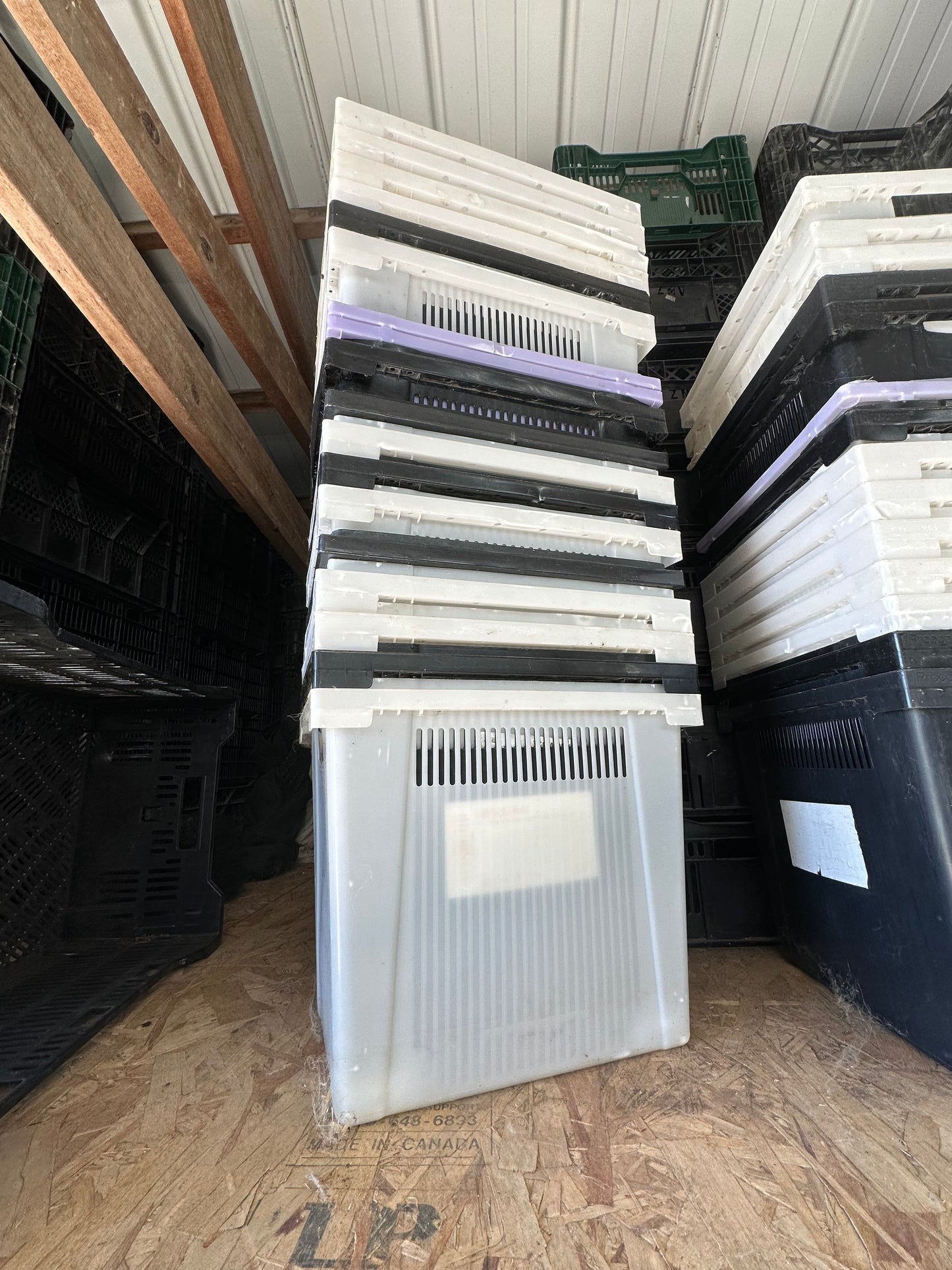 Used Procona Buckets -Valencia Container