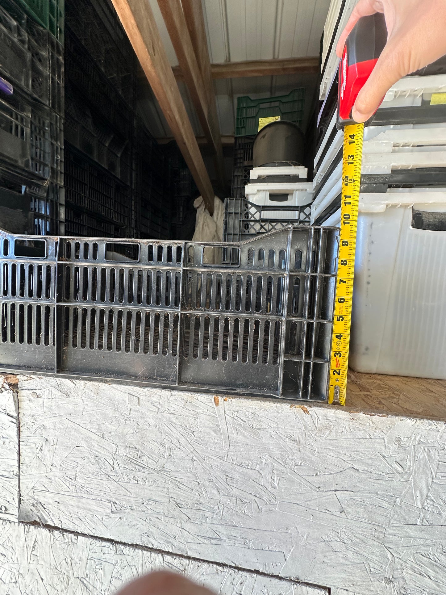 Bulb Crates