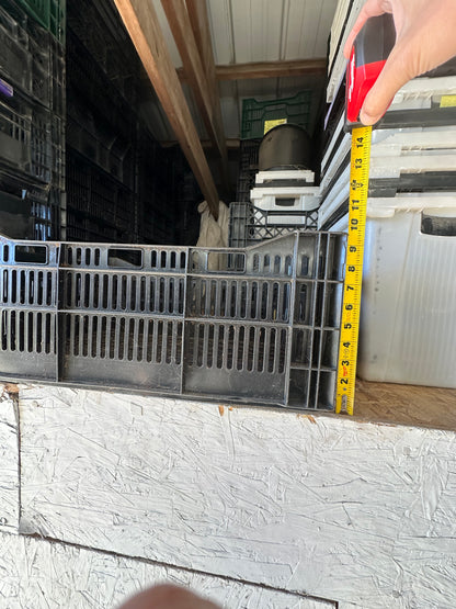 Bulb Crates