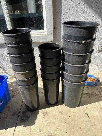 Florist Buckets