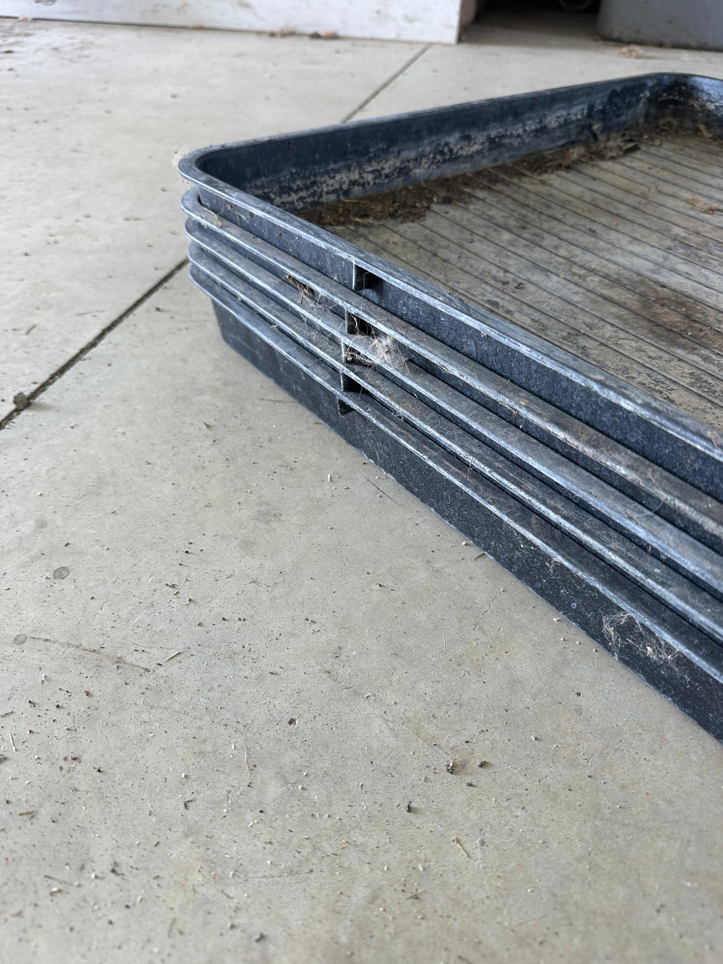Big Plastic Trays