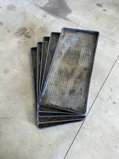 Big Plastic Trays