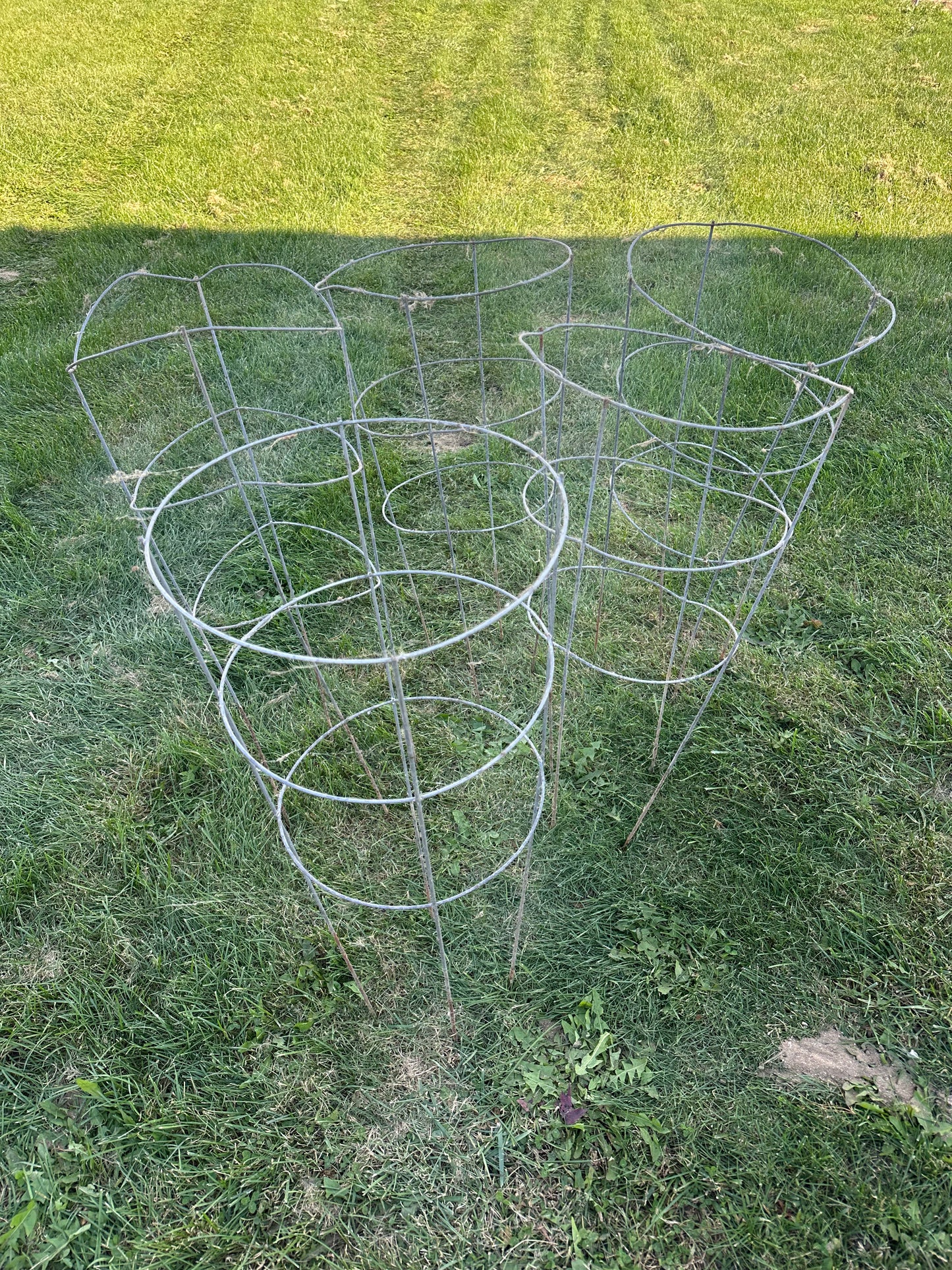 Tomato Cages - Total of 40