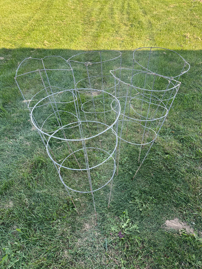 Tomato Cages - Total of 40