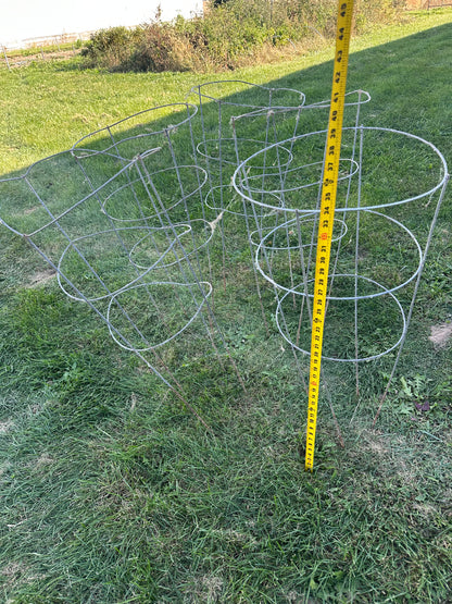 Tomato Cages - Total of 40
