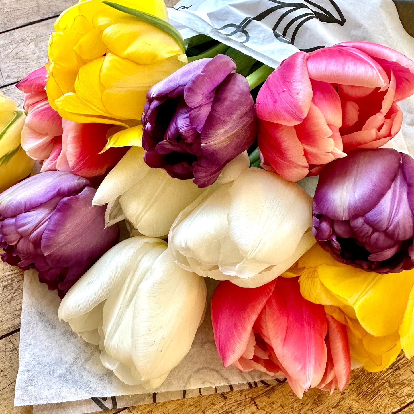 Mother's Day Shipped Tulips - Free Shipping!