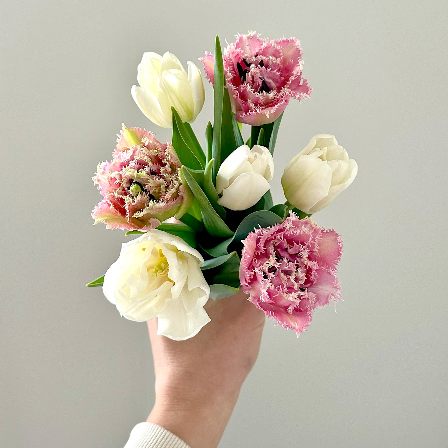 IFB/COUNTRY Tulip Bouquet