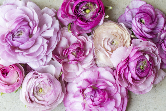 2023 Flower Subscription